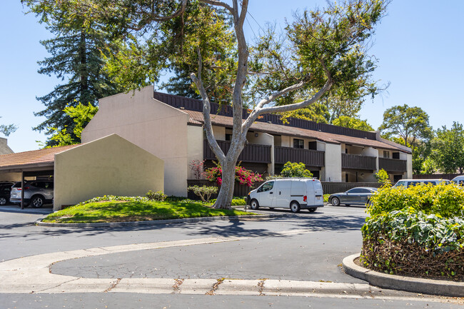 Count Yard in Sunnyvale, CA - Building Photo - Building Photo