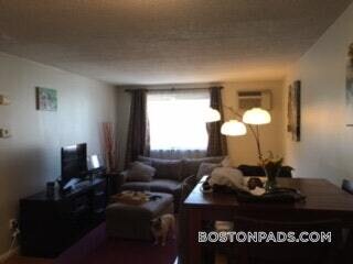 14 Murdock St in Somerville, MA - Foto de edificio - Building Photo