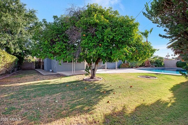 1036 E Geneva Dr in Tempe, AZ - Building Photo - Building Photo