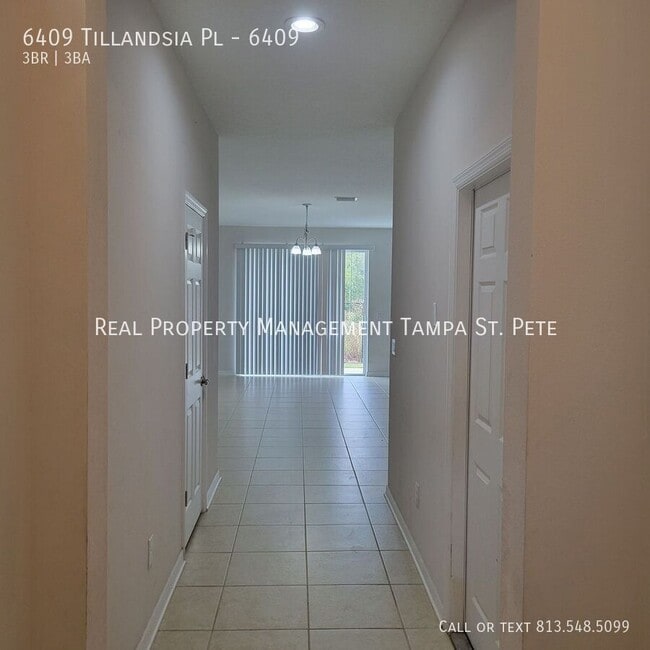 6409 Tillandsia Pl in Tampa, FL - Building Photo - Building Photo