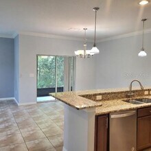 8502 Zapota Way in Tampa, FL - Building Photo - Building Photo