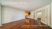 222 E Pearson St in Chicago, IL - Building Photo - Building Photo