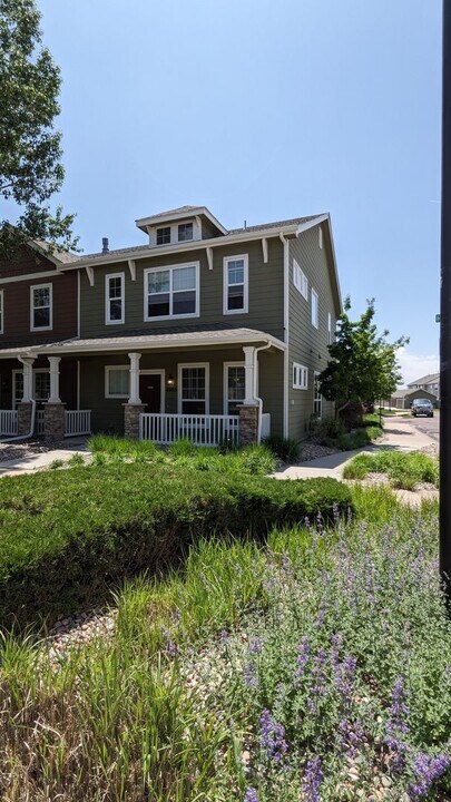 4885 Harrier Ridge Dr in Colorado Springs, CO - Building Photo
