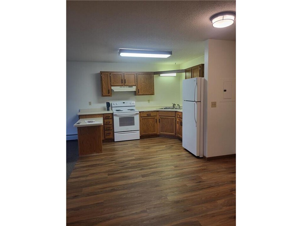 609 Main St S in Renville, MN - Foto de edificio