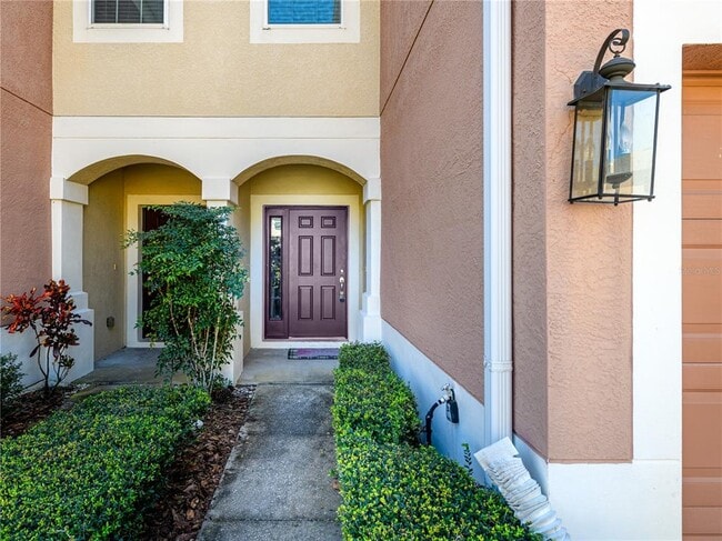 26546 Castleview Way in Wesley Chapel, FL - Building Photo - Building Photo