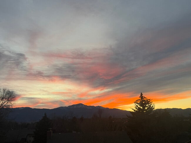 3302 Birnamwood Dr in Colorado Springs, CO - Building Photo - Building Photo