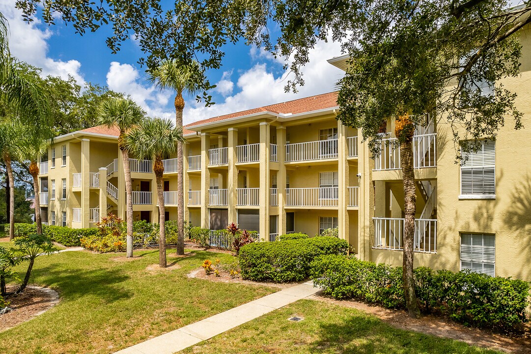 Meadow Lake in Palm Harbor, FL - Foto de edificio