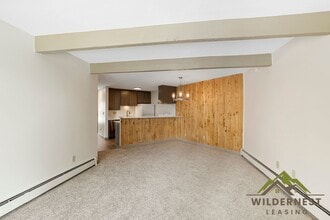 7213 Ryan Gulch Rd in Silverthorne, CO - Building Photo - Building Photo