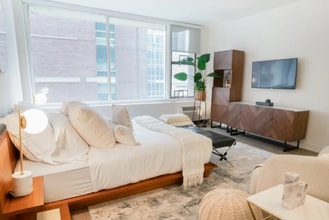 53 E Chestnut St in Chicago, IL - Building Photo - Building Photo