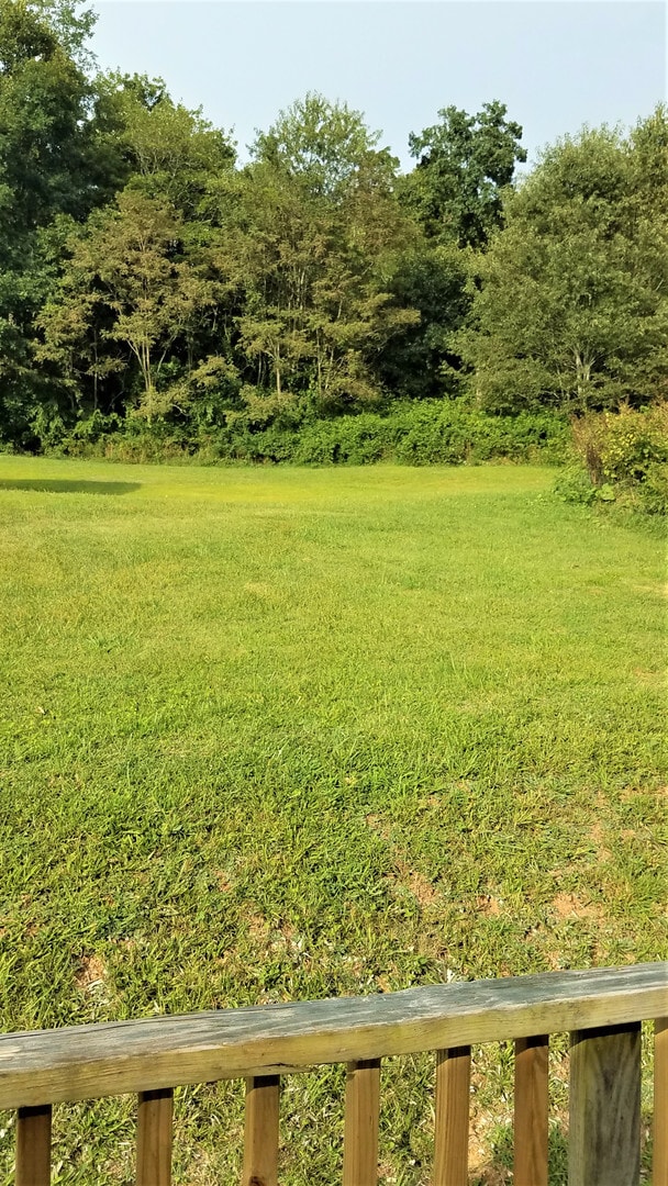 1617 Nettle Knob Rd in West Jefferson, NC - Building Photo - Building Photo