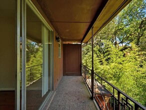 206 Park Ln in Austin, TX - Building Photo - Building Photo