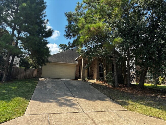 138 Bryce Branch Cir in The Woodlands, TX - Building Photo - Building Photo