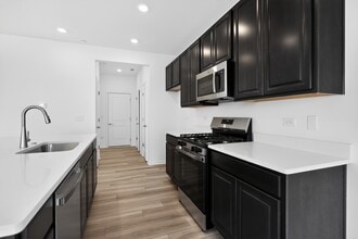 247 Cooney Wy in Oswego, IL - Building Photo - Building Photo