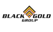 Property Management Company Logo Black Gold Group