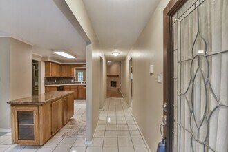 20 Tulip Hill Ct in Spring, TX - Building Photo - Building Photo
