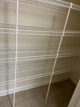 18117 Bridle Bit Ln, Unit NA in Tampa, FL - Building Photo - Building Photo