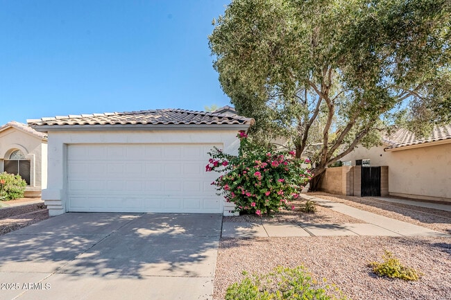 1312 W Park Ave in Chandler, AZ - Building Photo - Building Photo
