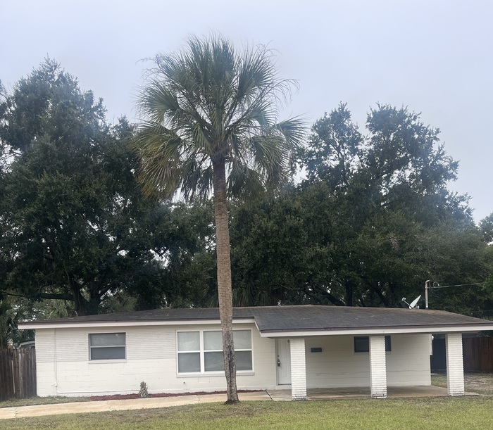 11633 Surfwood Ave in Jacksonville, FL - Building Photo