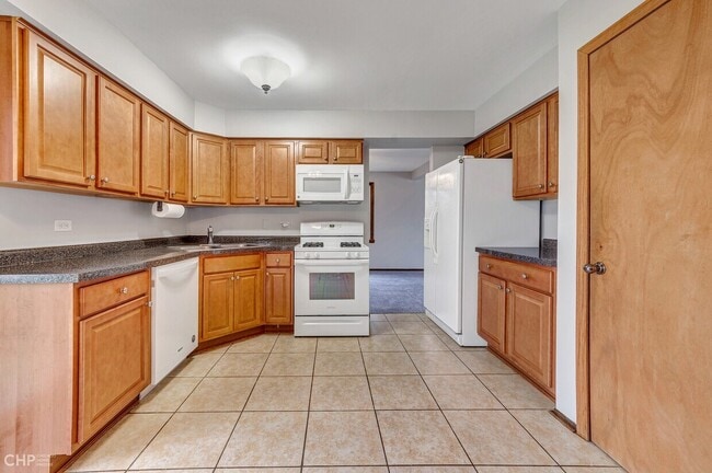 13633 Overland Trail in Orland Park, IL - Building Photo - Building Photo