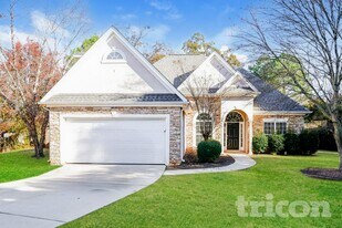 308 Trail Spring Ct in Mcdonough, GA - Building Photo