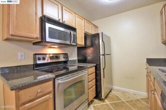 37294 Spruce Terrace in Fremont, CA - Building Photo - Building Photo
