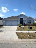 6833 Runner Oak Dr in Wesley Chapel, FL - Building Photo