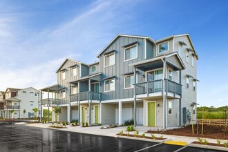 Blue Oak in Paso Robles, CA - Foto de edificio - Building Photo