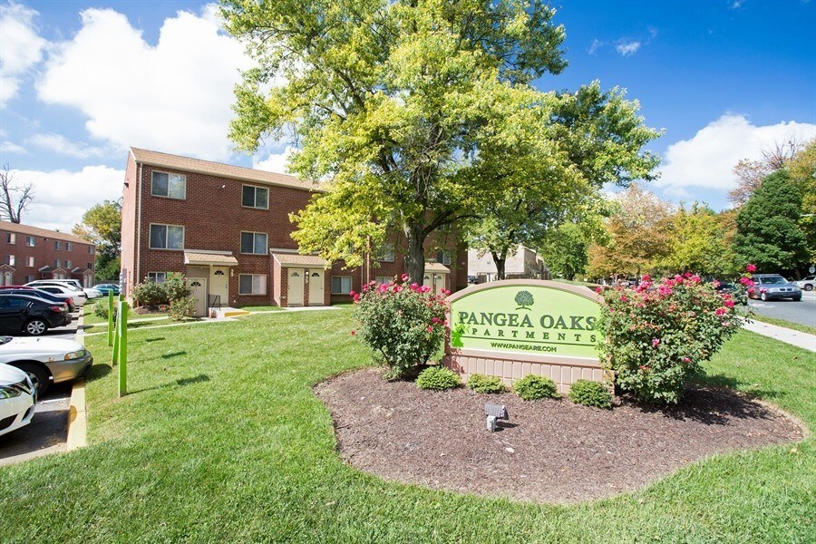Pangea Oaks Photo