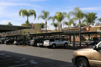 Amber Park in El Cajon, CA - Foto de edificio - Building Photo