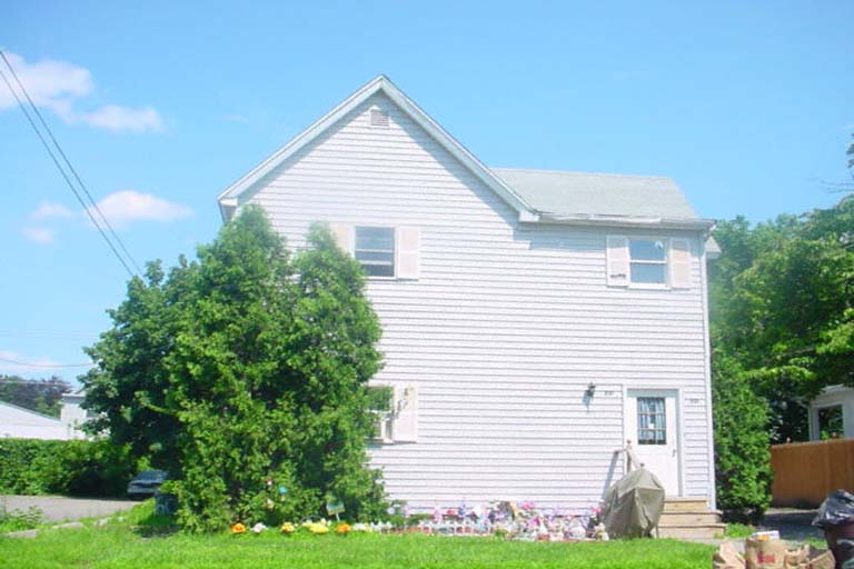 221 Madison Ave in Endicott, NY - Building Photo