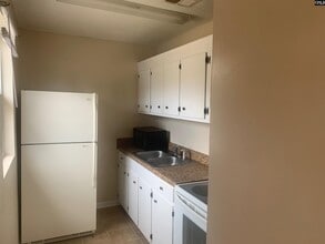 487 Bushberry Rd in Pelion, SC - Building Photo - Building Photo