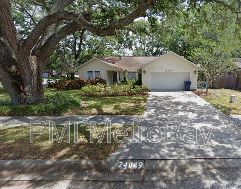 24049 Landing Dr in Lutz, FL - Building Photo