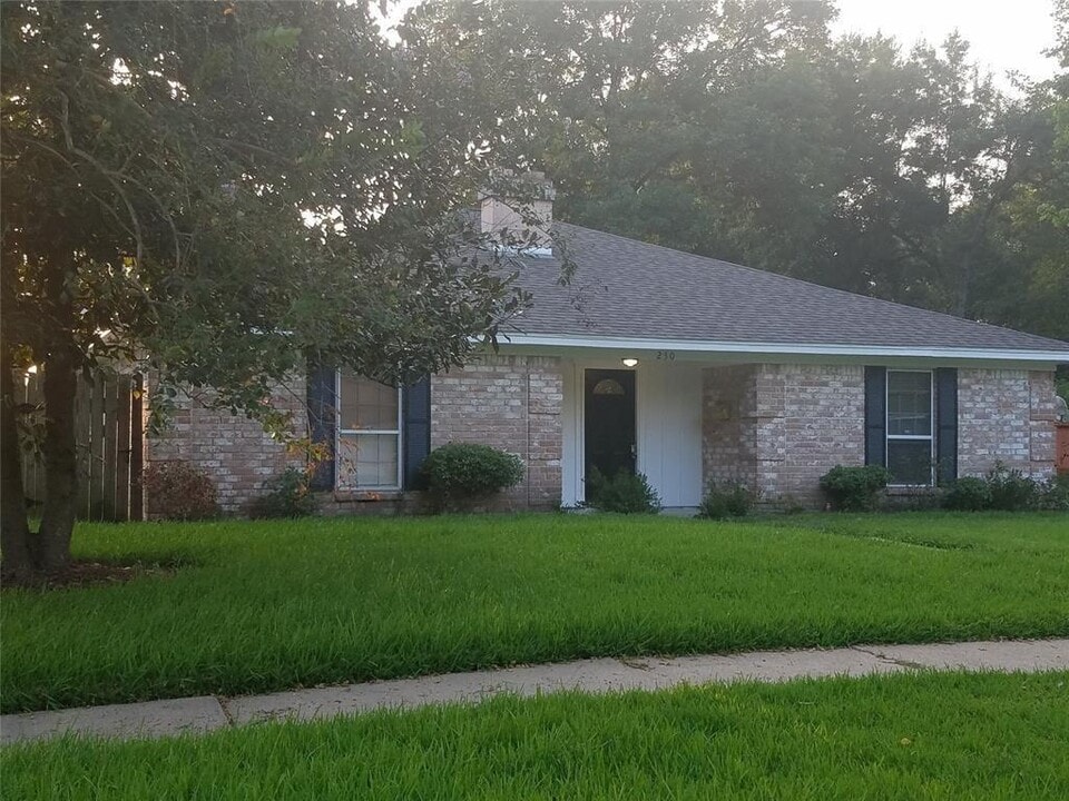 230 Blue Castle Ln in Houston, TX - Building Photo