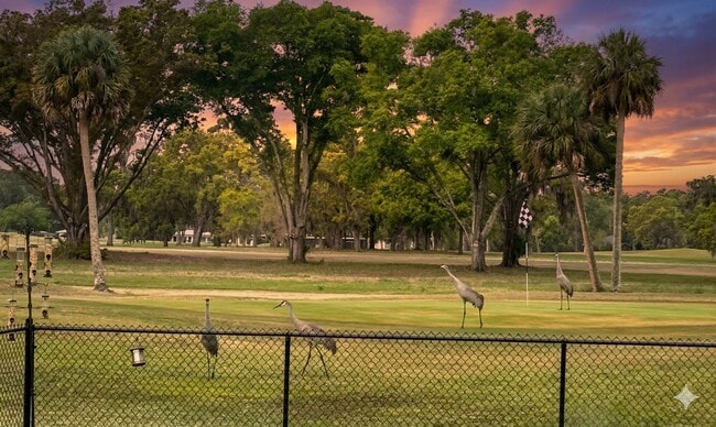 540 N Afterglow Cir in Crystal River, FL - Building Photo - Building Photo