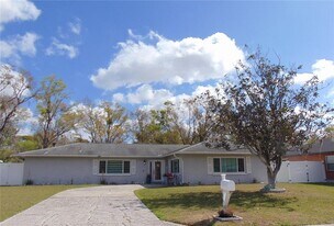 4706 Tampa Downs Blvd in Lutz, FL - Building Photo