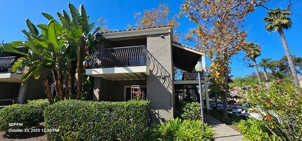 3161 Via Alicante in San Diego, CA - Building Photo - Building Photo