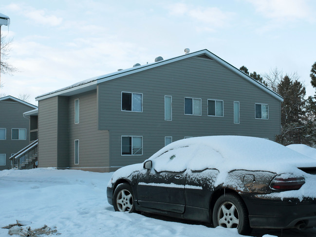 24th Street  Apartments in Willmar, MN - Building Photo - Building Photo