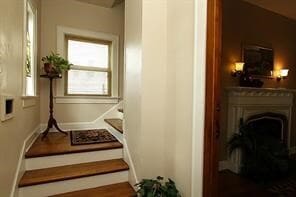 1915 Cleburne St in Houston, TX - Building Photo - Building Photo