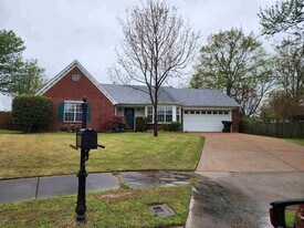 255 Windy Ridge Cove in Collierville, TN - Building Photo