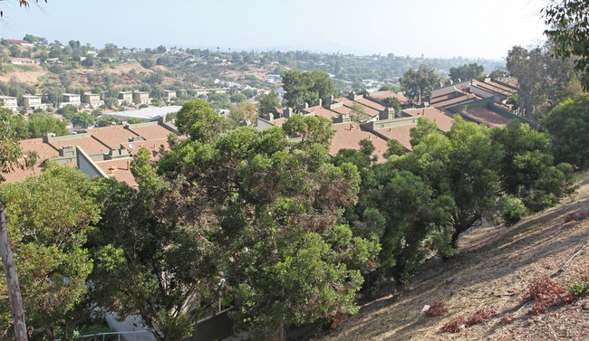 College Park Townhomes in San Diego, CA - Building Photo - Building Photo