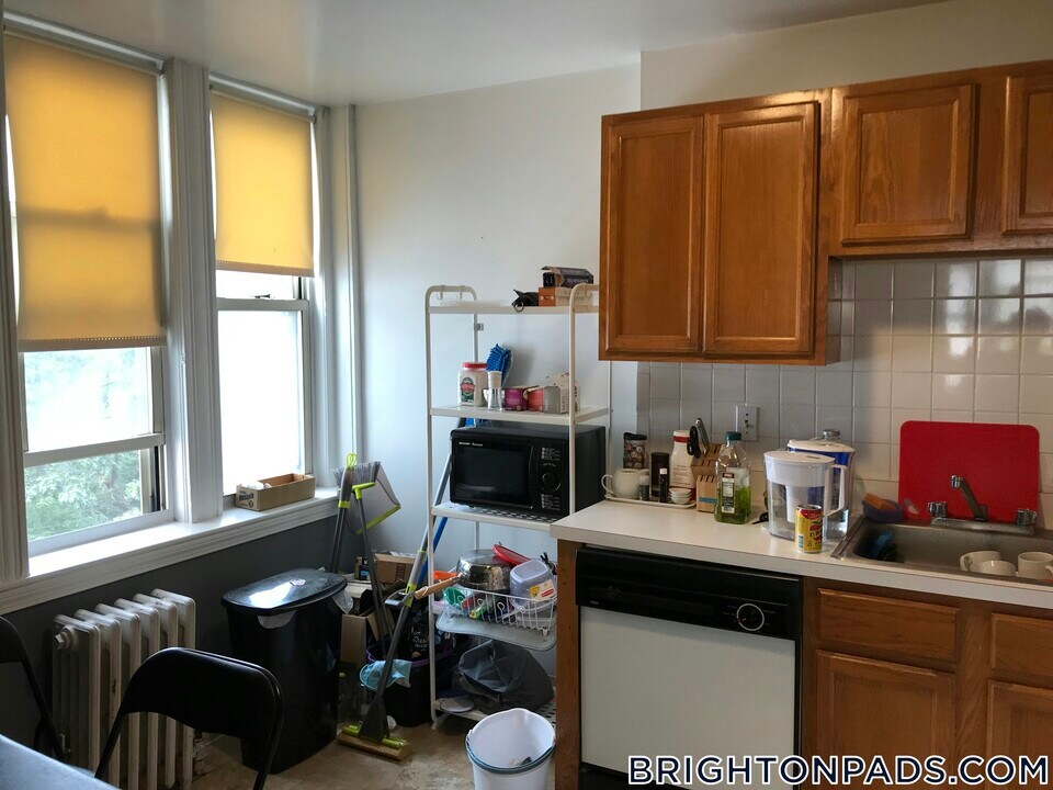20 Colborne Rd in Boston, MA - Building Photo