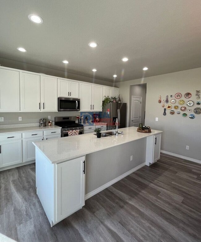 4597 Hollycomb Dr in Windsor, CO - Building Photo - Building Photo