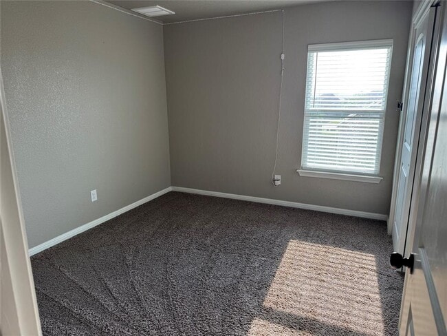 1003 Coconut Cove in Hutto, TX - Building Photo - Building Photo