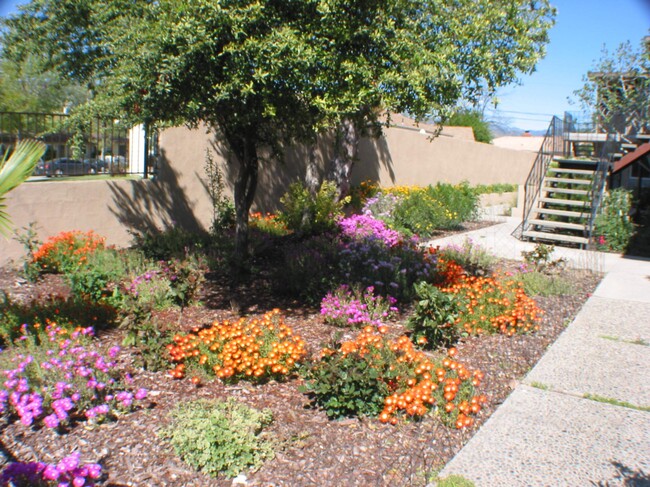 3583 E N St, Unit 7