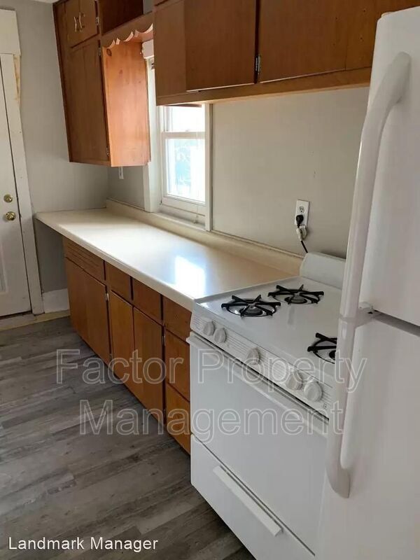 527 E Hickory St in Mankato, MN - Building Photo - Building Photo