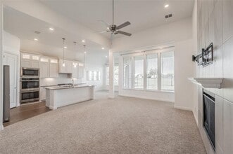 17365 Texas Pistache Dr in Dallas, TX - Building Photo - Building Photo
