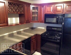 816 N Dearborn St in Chicago, IL - Building Photo - Building Photo