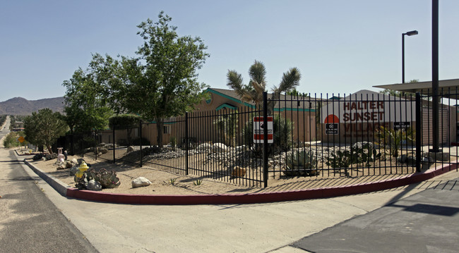 Halter Sunset Village in Joshua Tree, CA - Building Photo - Building Photo