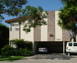 3657 Mentone Ave in Los Angeles, CA - Building Photo - Other