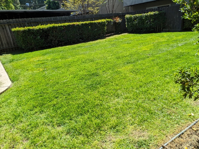 1044 Rivara Rd in Stockton, CA - Building Photo - Building Photo